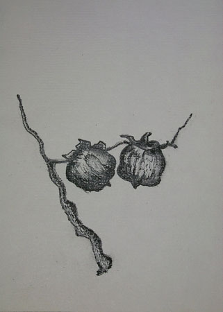 thumbnail of "barboursville cows II" landscape painting by tracy verkerke in oil